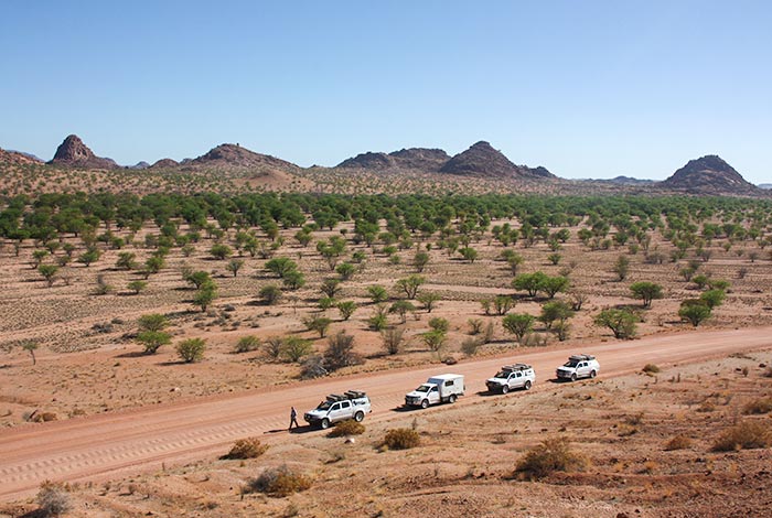 Excursiones guiadas en convoy por Damaraland en Namibia-selfdrive-tour