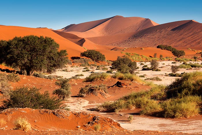 Safaris-privados-guiados-Namibia-Namib-Desert