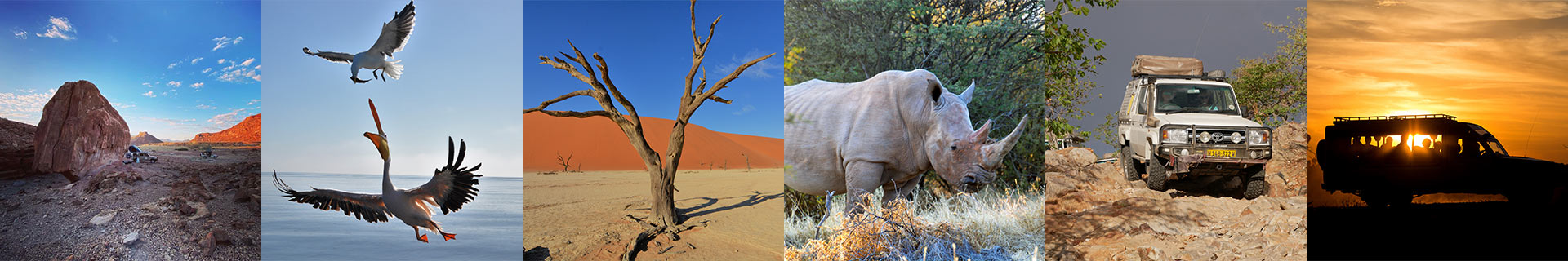 Namibia-Private-Guided-Safari-Tours-Stretched-Landcruiser-footer