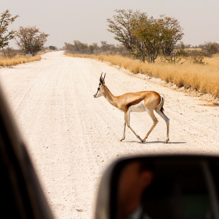 Especialista-en-viajes-a-medida-Namibia-Itinerarios-Ruta-Cruza-Fronteras-4
