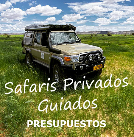Namibia-Safari-privado-guiado-en-Stretched-Landcruiser-img01