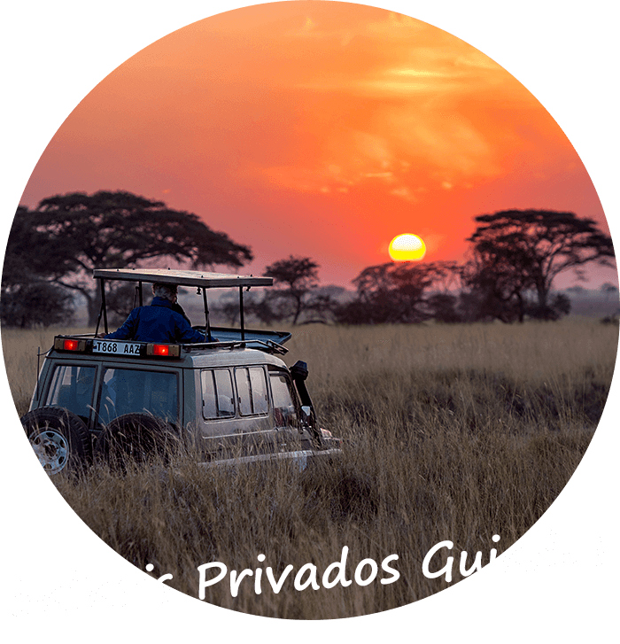 Namibia Safari privado guiado en Stretched Landcruiser