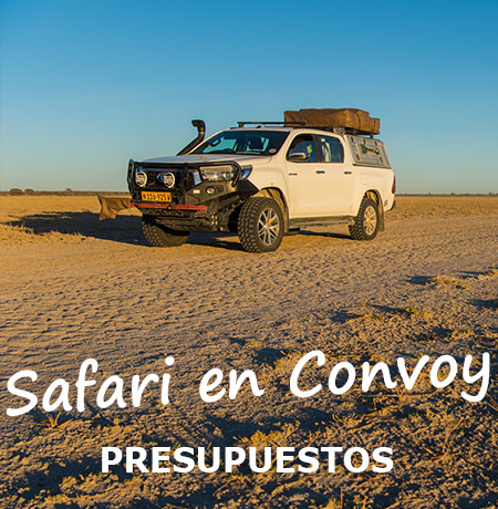 Tours-Privados-de-Safari-Guiados-en-Convoy-en-Namibia-img02