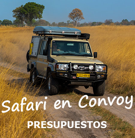 Tours-Privados-de-Safari-Guiados-en-Convoy-en-Namibia
