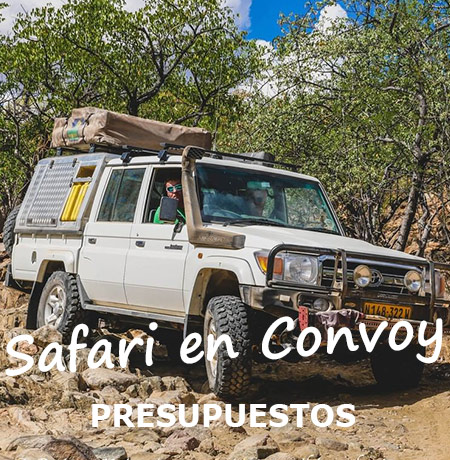 Tours-Privados-de-Safari-Guiados-en-Convoy-en-Namibia-img04
