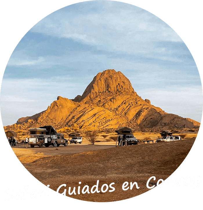 Tours Privados de Safari Guiados en Convoy en Namibia