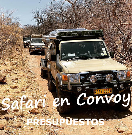 Tours-Privados-de-Safari-Guiados-en-Convoy-en-Namibia-img05