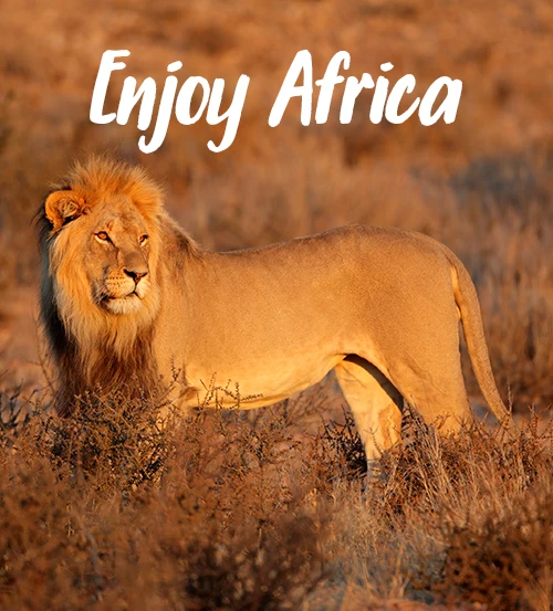 Explore-Namibia-Photo-Safari-Tours