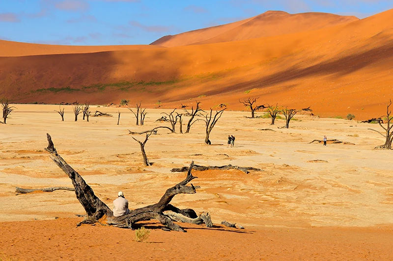 Guided Namibia Photography Tour South-Sossusvlei