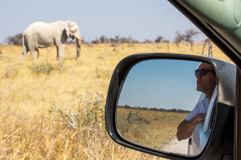 Namibia-Self-Drive-Safari-Tours-Route-All-In-One-Etosha-National-Park