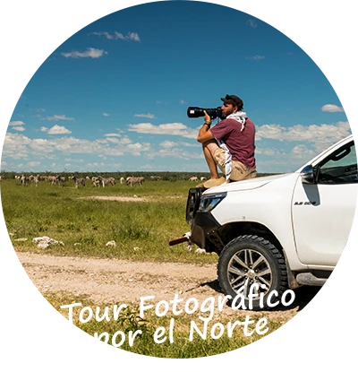Guided Namibia Tour Fotográfico por el Norte
