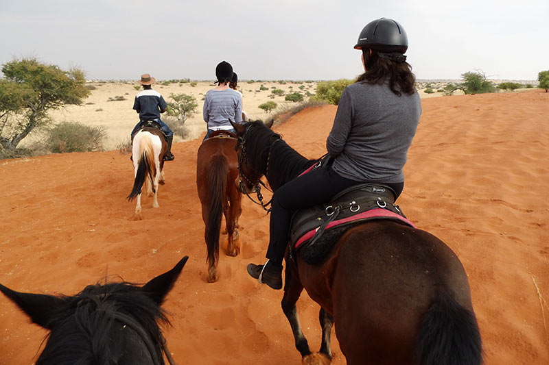 Explore-Namibia-Book-Extra-Activities-With-Your-Safari-Horseriding