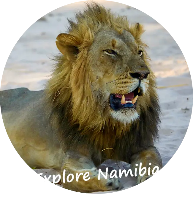 Namibia-Self-Drive-Safari-ANVR-SGR-Explore-Namibia