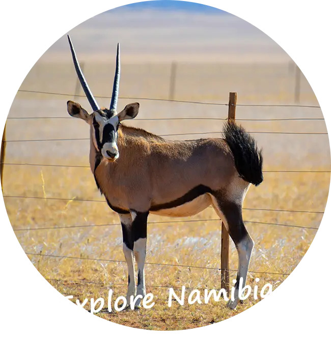 Explore Namibia ofrece vacaciones organizadas en todoterrenos conducidos por ti mismo