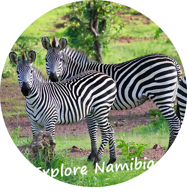 un safari conduciendo por tu propia cuenta por Namibia
