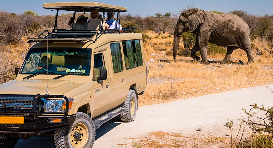 Namibia-Safaris-privados-guiados