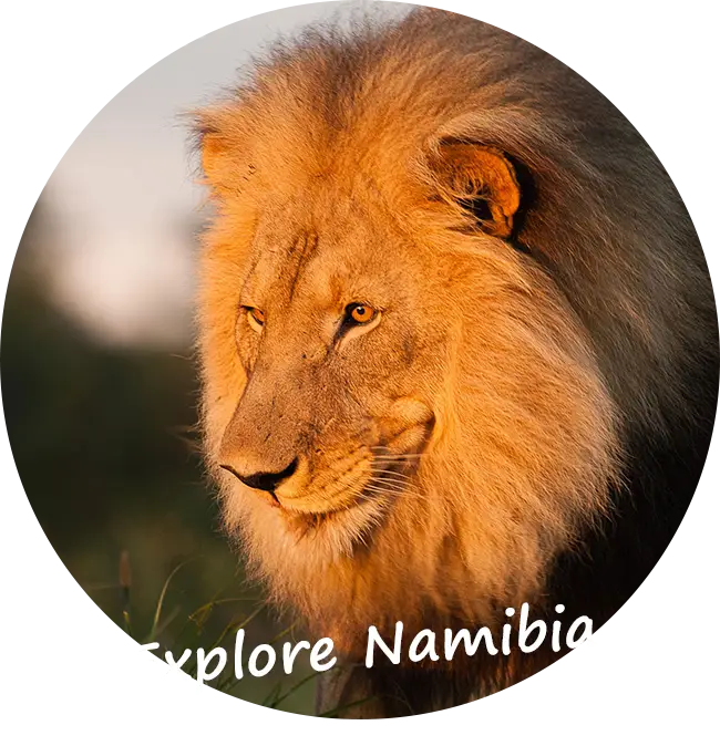 Self-Drive-Namibia-Actividades extra y servicios adicionales-Enjoy-Africa