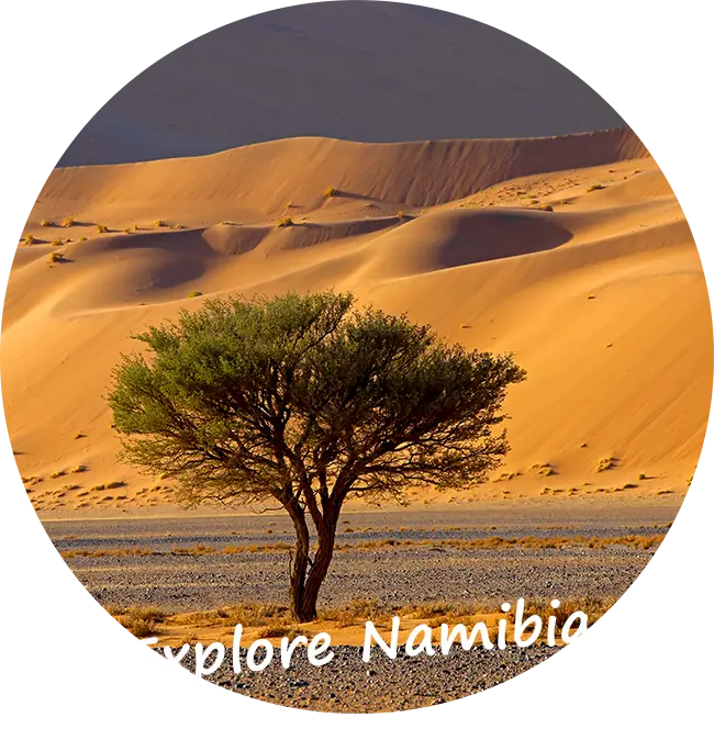 Viajar en Namibia y Safaris en Coche Namibia