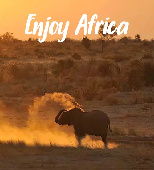 Viajar en Namibia y Safaris en Coche Namibia-Enjoy-Africa