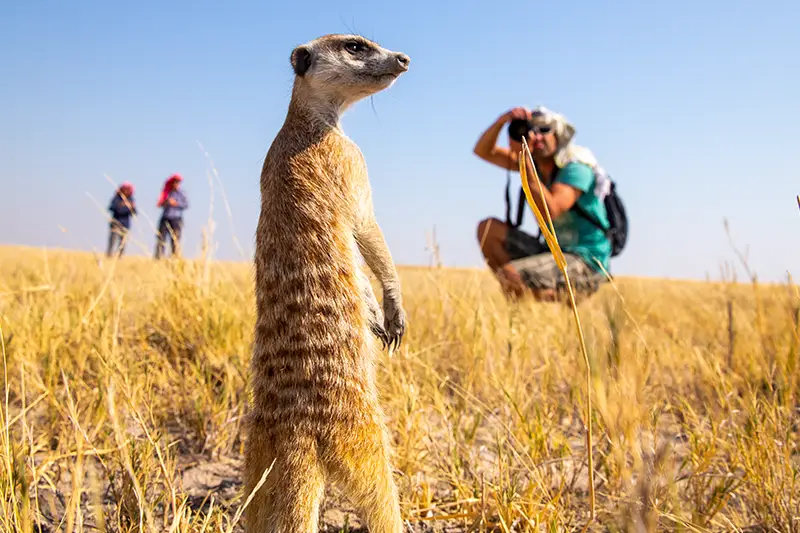 Self-Drive-Safari-Namibia-Travelling-in-Namibia-Photography