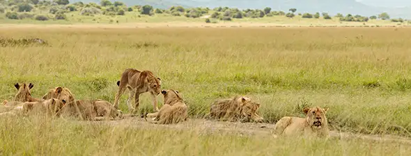 Namibia Safari Autoguiado Complemento Cultura del Norte