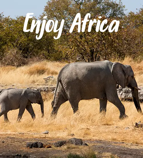 Namibia Safari Autoguiado Complemento Complemento Sur