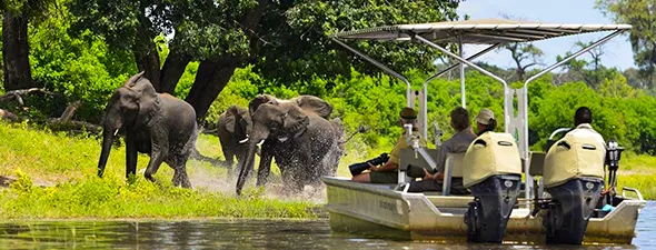 Safaris-en-Coche-Namibia-Complemento-Catarátas-de-Victoria-Chobe