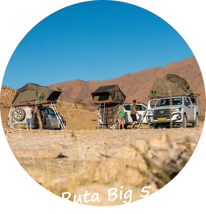 Namibia-Safari-autoguiado-itinerario-big-5