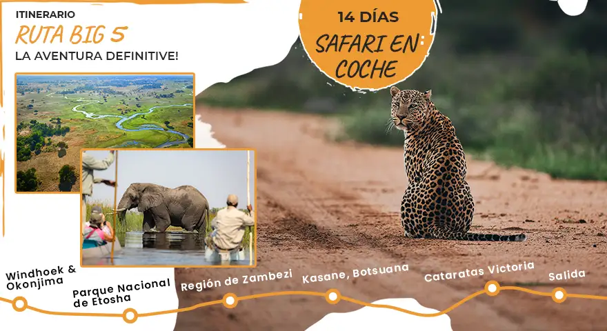 Namibia-Safari-autoguiado-itinerario-big-5