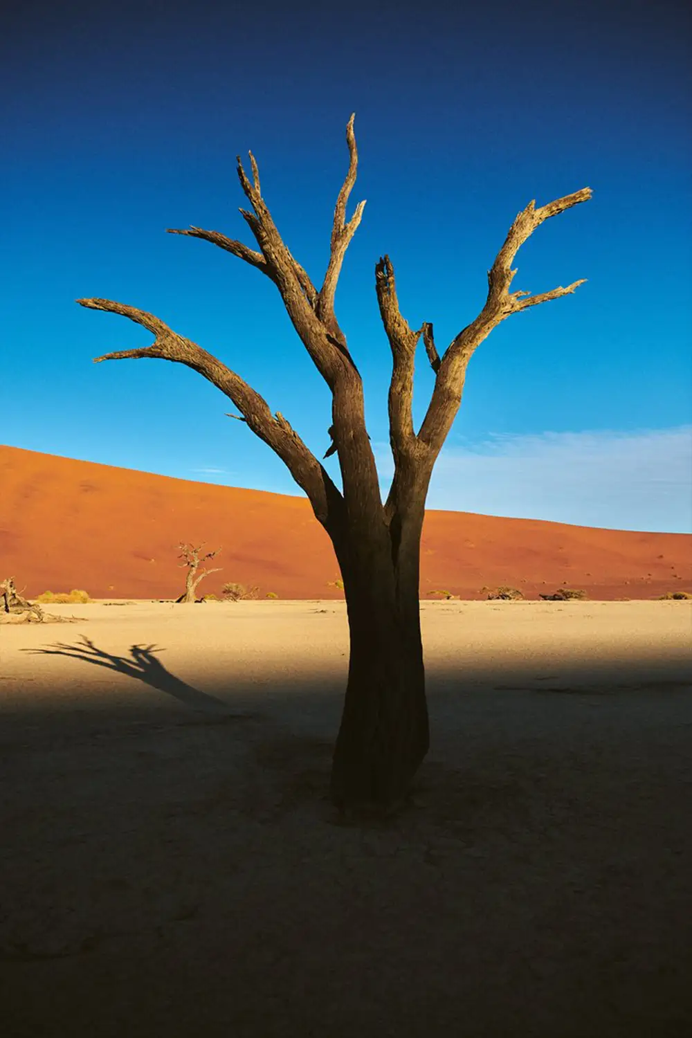 Recorrido fotográfico por la icónica Namibia-Sossusvlei-y-Deadvlei