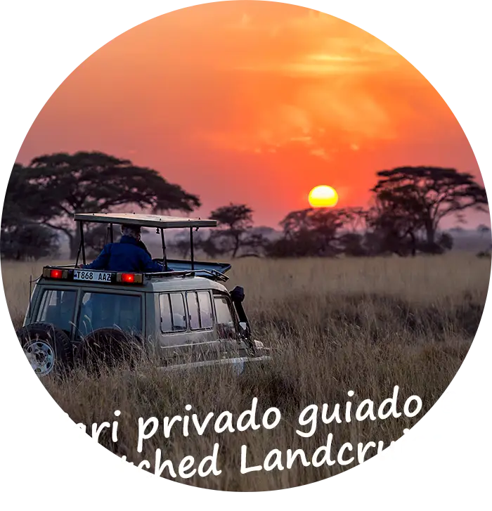 Namibia Safari privado guiado en Stretched Landcruiser