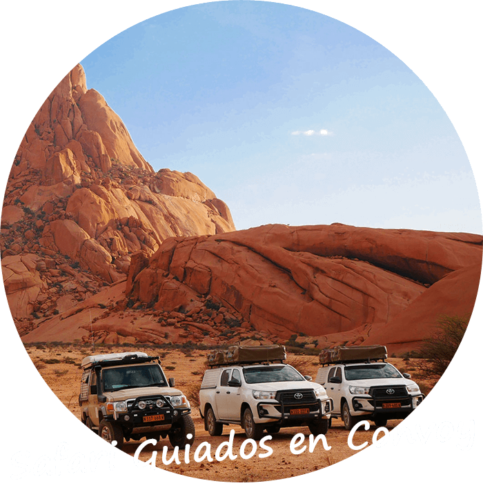 Tours Privados de Safari Guiados en Convoy en Namibia-img01